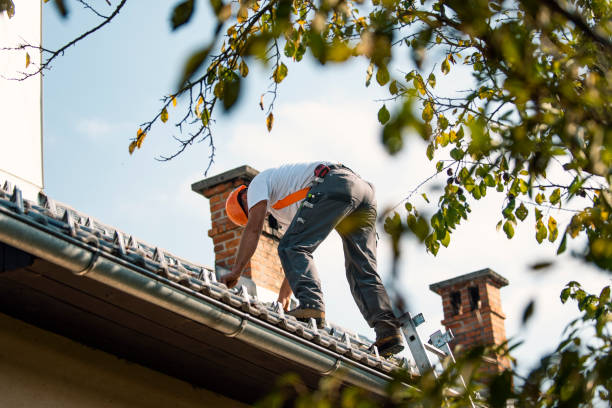 Best Emergency Roof Repair  in Mendenhall, MS
