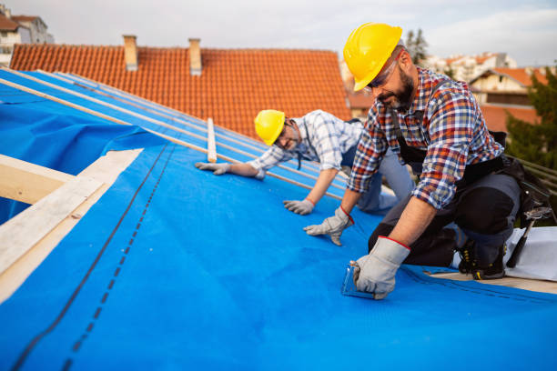 Best Metal Roofing Contractor  in Mendenhall, MS